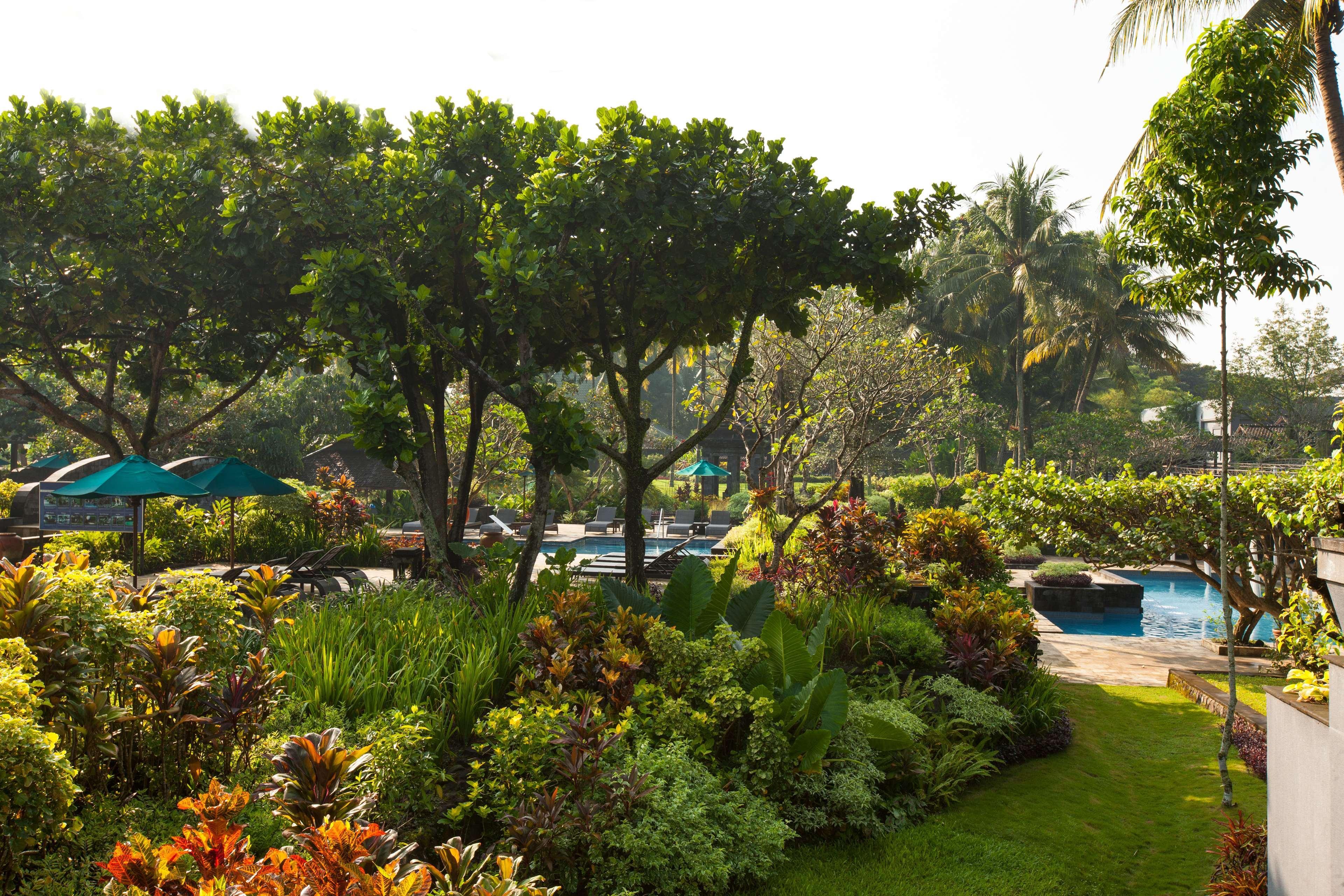 Hyatt Regency Yogyakarta Hotel Слеман Екстериор снимка The pool at the Royal Hawaiian Hotel